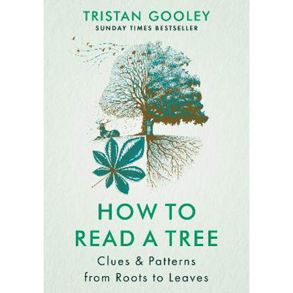 How to Read a Tree: The Sunday Times Bestseller (Hardback) - Tristan Gooley
